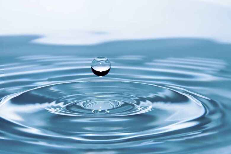 Filter von BWT: Wasserfiltration im Zeichen des Kleeblatts