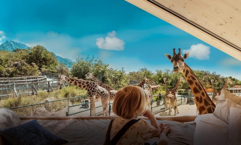 Übernachten in Knies Kinderzoo – Ein unvergessliches Erlebnis